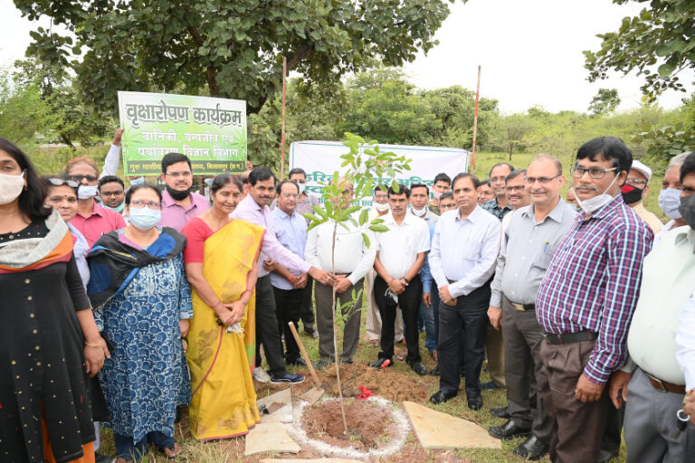 Plantation 2