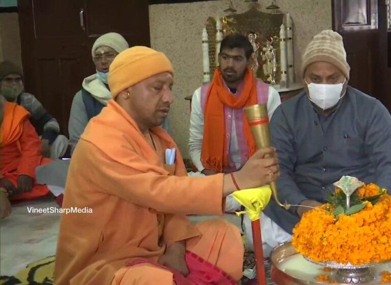 yogi
