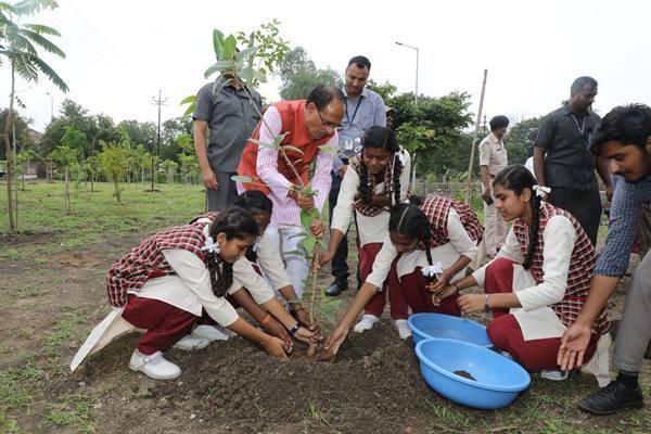 mp cm
