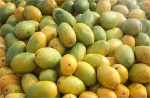 fruits