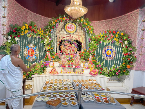 bhilai 1