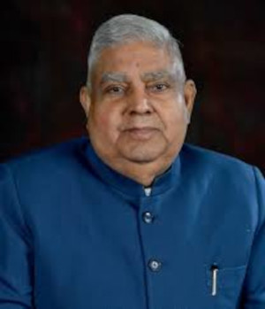 vice president