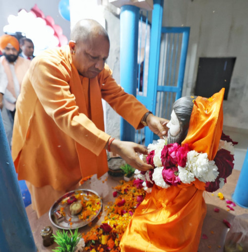 yogi