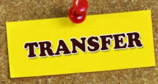 transfer logo