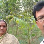sarthi