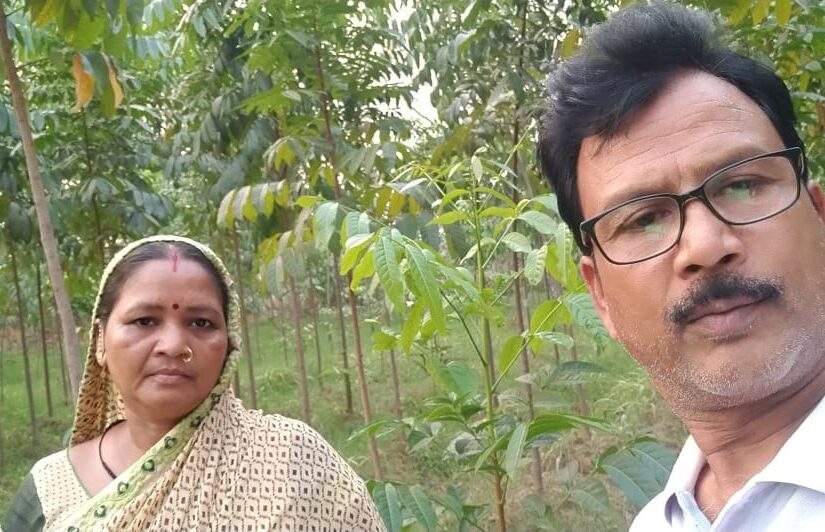 sarthi