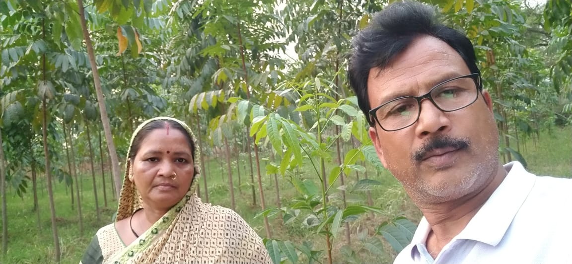 sarthi