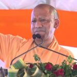 yogi