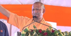 yogi