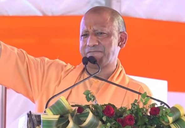 yogi