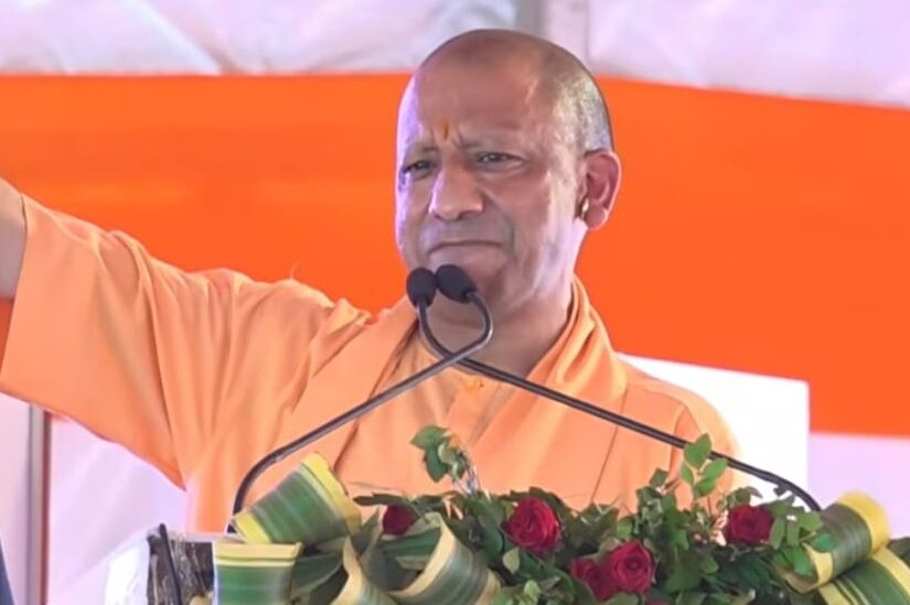 yogi