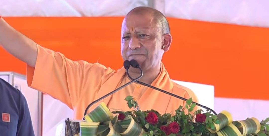 yogi