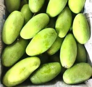 malihabad
