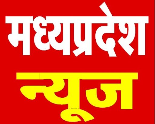 mp news