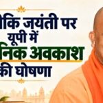 yogi